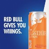 Red Bull Amber Edition Energy Drink - 12 fl oz Can - 4 of 4