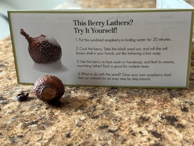 Guest review image 3 of 4, zoom in