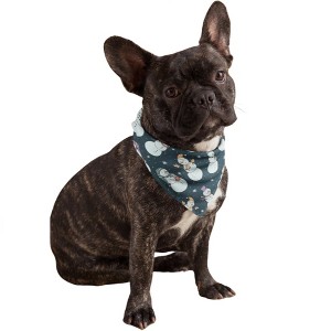 Mechaly Cotton Funny Dog Bandana with Designs Durable Birthday Pet Scarf - 1 of 4