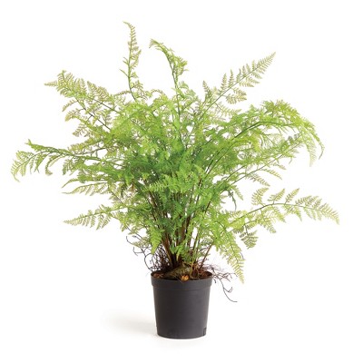 Plum & Post Soft Fern Drop-In 36"