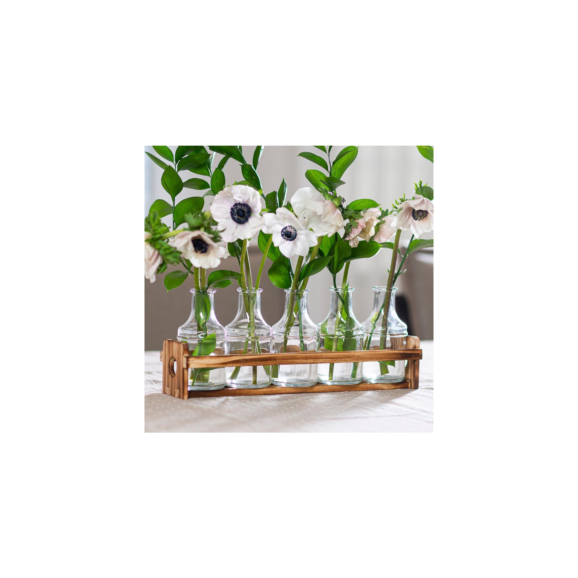 Le'raze Set of 5 Glass Flower Bud Vases with Wooden Holder