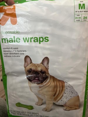 Puppy diapers hot sale target