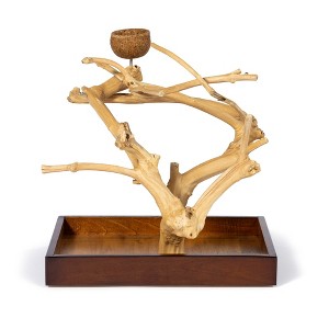 Prevue Pet Products Coffeawood Java Tree Mini Small Table Top Bird Play Stand Perch, Brown Natural 22633 - 1 of 4