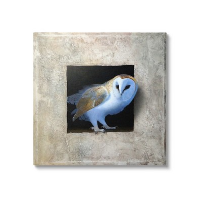 Stupell Industries Mysterious Barn Owl Peering Canvas Wall Art