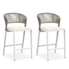 PURPLE LEAF Counter Height Stool Set of 2 Modern Aluminum Rattan Wicker Outdoor Barstools with Backrest and Cushion for Kitchen Lawn Pool Bar Chairs - 4 of 4