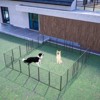 FURNIinspire Pet Crates and Houses Secure Portable Pet Fence, Pet Exercise Pen for Outdoor, for Outdoor Adventures Home Use, Black, 32"*32"*40" - 4 of 4