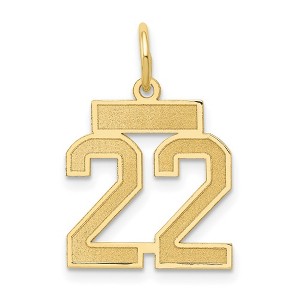 Black Bow Jewelry 14k Yellow Gold, Jersey Collection, Small Number 22 Pendant - 1 of 4