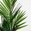 Nearly Natural 5-ft Kentia Palm Silk Tree - image 3 of 4