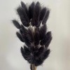 Alilang Dried Bunny Tail Grass Stems for Modern Home Decoration and Floral Arrangements, 23.5 Inches - 3 of 3