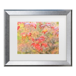 Trademark Fine Art - Beata Czyzowska Young Falltime In My Garden Matted Framed Art - 1 of 4