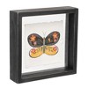 Melrose Framed Butterfly Block (Set of 2) - 2 of 4