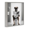 Stupell Industries Boxer Dog & Newspaper, 24" x 24" - 3 of 4
