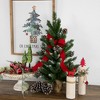 Northlight 2 FT Frosted Norway Pine with Pine Cones Medium Artificial Christmas Tree, Unlit - 2 of 4
