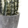 Nearly Natural Decorative Cactus Garden with Cement Planter - image 3 of 4