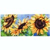 Evergreen Flag Sassafras Doormat Seasonal Spring, Summer, Winter Fall Floormat and Tray Set of 5 - 4 of 4