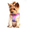 Doggie Design American River Choke Free Dog Harness Ombre Collection-Raspberry Sundae - 4 of 4