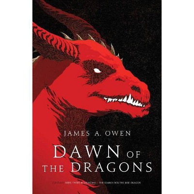 Dawn of the Dragons, 1 - (Age of Dragons) by  James A Owen (Paperback)