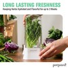 Prepara Herb Savor Eco Fresh Herb Keeper - Compact for Sleek Fridge Storage, BPA Free Plastic - Plant Hydration Container - Dishwasher Safe (2-Pack) - 2 of 4
