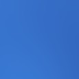 royal blue/black