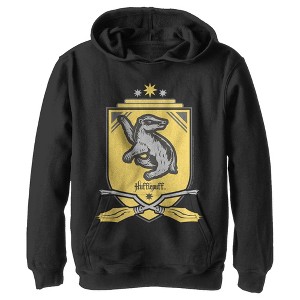 Boy's Harry Potter Quidditch Hufflepuff Team Crest Pull Over Hoodie - 1 of 4