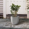 Rosemead Home & Garden Concrete Outdoor Planter Pot Cement Gray 13.39"x13.39"x12.6" - 4 of 4