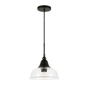 Hudson and Canal 10.75" Wide Pendant with Glass Shade - 1 of 4