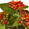 Nearly Natural 8-in Kalanchoe Bush Artificial Flower (Set of 6), Orange - 3 of 3