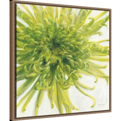 Green Chrysanthemum Botanical Canvas Print with Wood Frame