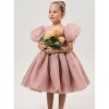 2Bunnies Girls' Organza Puff Sleeve Babydoll Fit & Flare Dress - 3 of 4