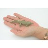 Collectible Wildlife Gifts | American Crocodile, Crocodylus acutus, Saltwater Crocodile, Rubber Reptile, Realistic Figure, Gift,  4 1/4"  SF41 B15 - 3 of 4