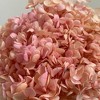 Alilang Decorative Dried Hydrangea Blooms for Home Decoration and Floral Arrangements, 7.8 Inches - 2 of 2