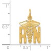 Black Bow Jewelry 14k Yellow Gold Satin and Diamond Cut Nurse Charm - 4 of 4