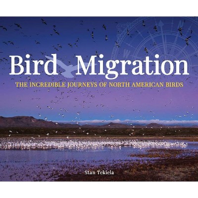 Bird Migration - (Wildlife Appreciation) by  Stan Tekiela (Paperback)