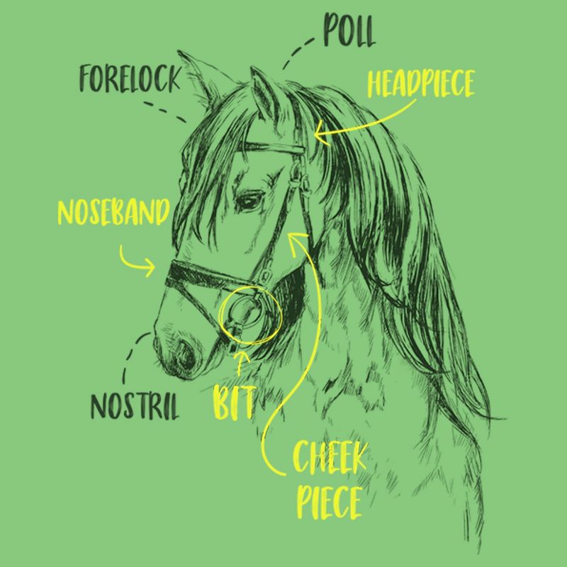 Girl's Lost Gods Horse Tack Diagram Sketch T-Shirt, 2 of 5