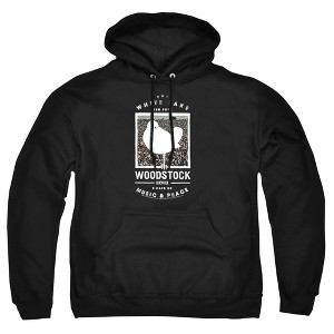 Men's Woodstock Birds Eye View Pull-Over Hoodie - 1 of 4
