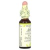 Bach Original Flower Remedies, Chestnut Bud, 0.35 fl oz (10 ml) - 4 of 4