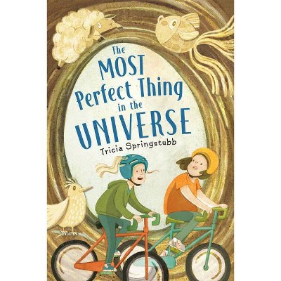 The Most Perfect Thing in the Universe - by  Tricia Springstubb (Hardcover)