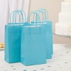 Blue Panda 20-Pack Small Paper Gift Bags with Handles, 5.5x2.5x7.9-Inch Goodie Bags with 20 Sheets White Tissue Paper and 20 Hang Tags for Small