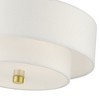 Livex Lighting Meridian 2 - Light Semi-Flush Mount in  Satin Brass - 4 of 4