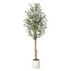 Artificial Olive Trees  - Realistic Faux Plants with Wood Trunks in White Planters for Living Room & Home Deco - 4 of 4