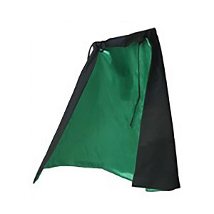 HalloweenCostumes.com  Women Women's Classic Witch Costume Cape, Black/Green - 1 of 2