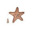 C&F Home Sea Star Serving Board W/Spreader S/2 - 3 of 4