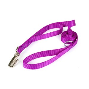 Country Brook Petz Deluxe Nylon Dog Leash, 6 Foot - 1 of 4