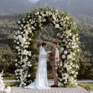 Outdoor Metal Garden Arch, Lawn Arbor with Stakes, Garden Arch Arbor Trellis for Climbing Plants, Roses, Vines, Wedding Archway Decor - 1 of 4