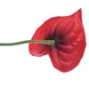 Unique Bargains Artificial Anthurium Lily Flowers for Home Decor 10 Pcs - 4 of 4