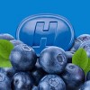 Halls Throat Soothing Lozenges - Menthol - Blueberry Flavor - 80ct - 2 of 4