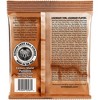 Ernie Ball 2145 Earthwood Phosphor Bronze Custom Light Acoustic Strings 2-Pack - 3 of 3