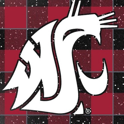 washington state cougars
