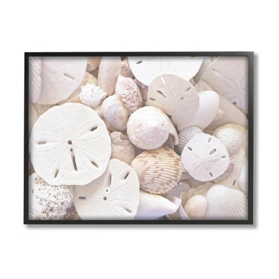 Stupell Industries White Mixed Sand Dollar Shells Framed Giclee Art