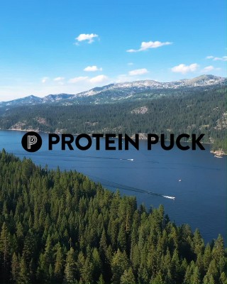 Protein Puck Variety Pack with Vegan Protein Bars